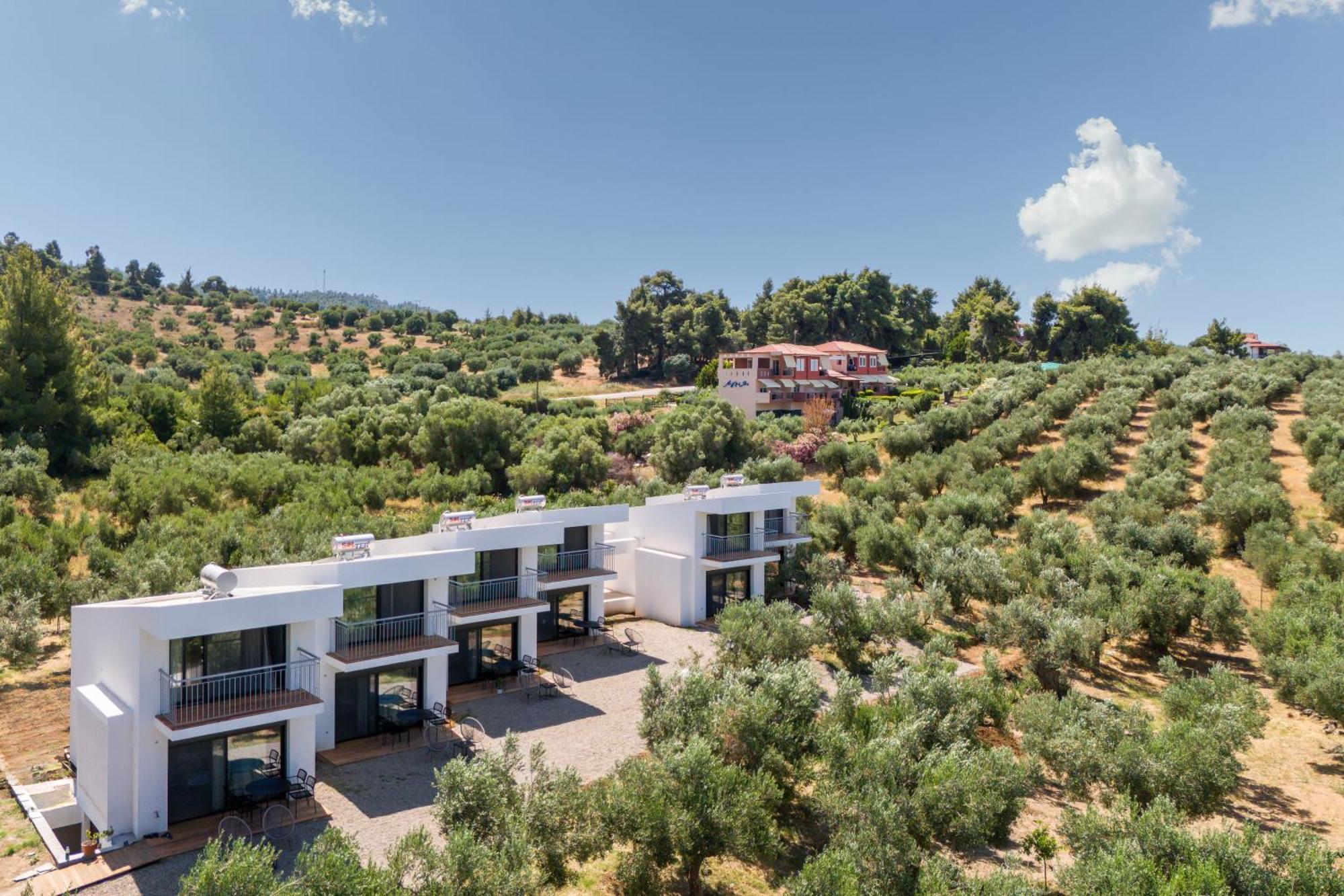 Olea Villas By Halu!, Cozy Villa In Nikiti Lagomandra Exterior photo